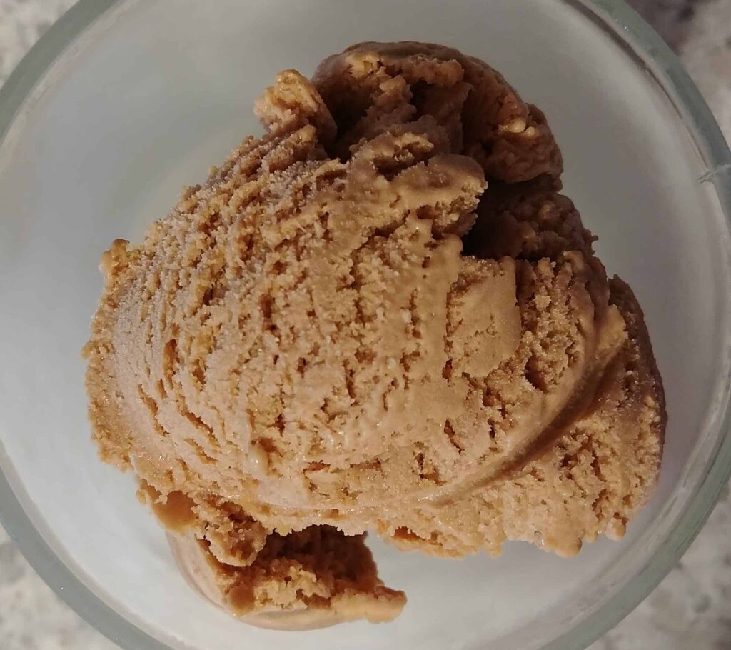 milk chocolate stout ice cream, scooped into a bowl, up close