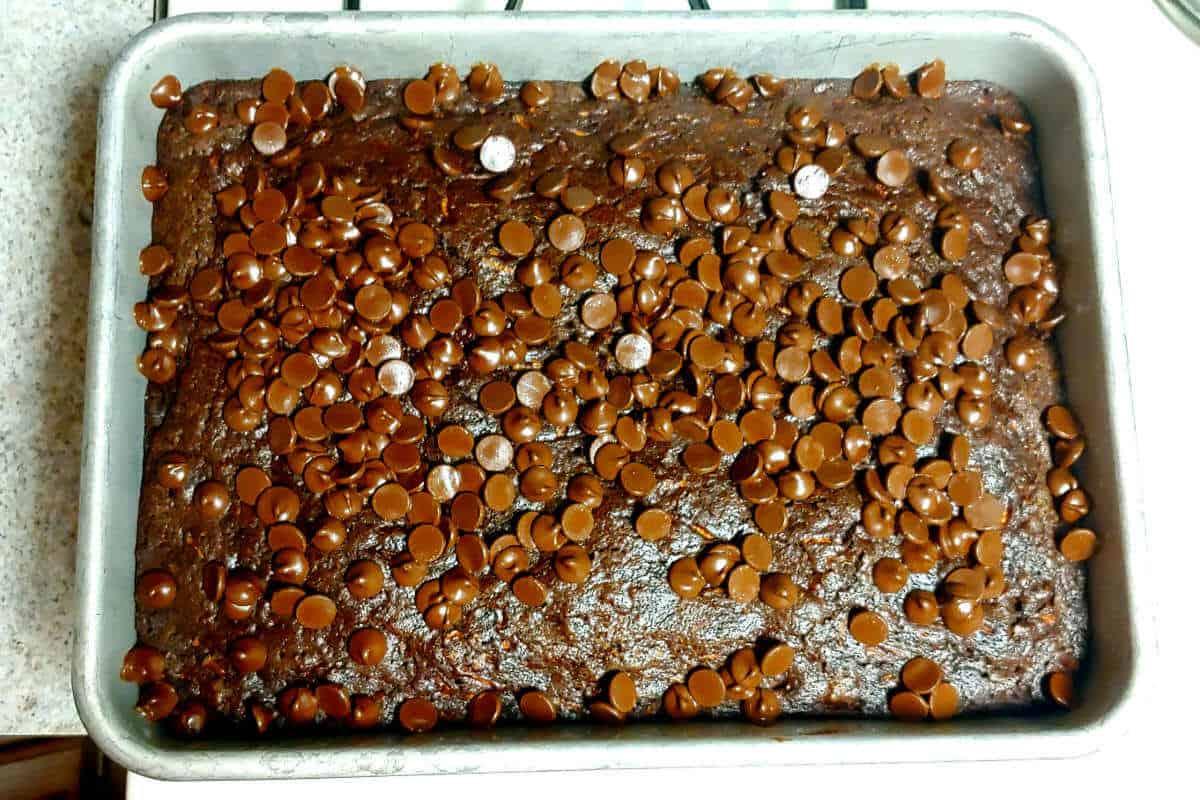baked cake, with heated chocolate chips on top